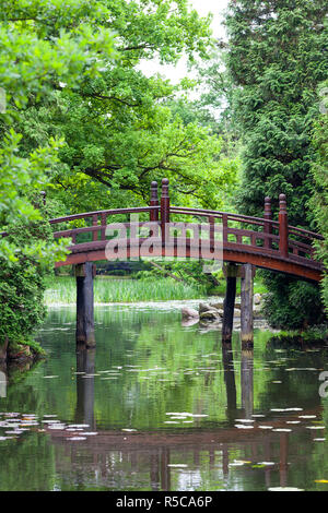 Jardin japonais, plantes exotiques, Wroclaw, Pologne Banque D'Images