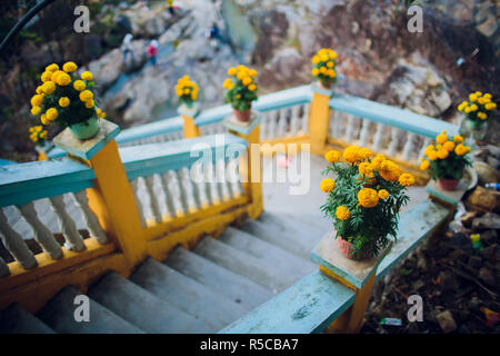 Vue paysage d'échelle à marches en bas du temple à Chiang Rai. Banque D'Images