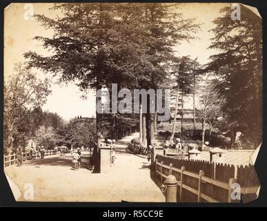 La maison Kennedy, Shimla. Vue du côté de Mall vers Kennedy House. Collection Douglas : divers portraits et vues. c. Années 1890. L'albumine, 275x211mm. Source : Photo 1106/3(8). Auteur : Inconnu. Banque D'Images