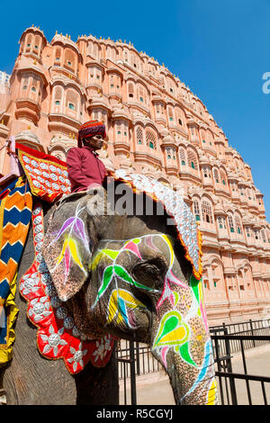 L'Inde, Rajasthan, Jaipur, décorées de cérémonie à l'extérieur de l'éléphant le Hawa Mahal, le Palais des Vents, construit en 1799, (MR) Banque D'Images