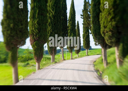 Winding Road, nr Pienza, Toscane, Italie Banque D'Images