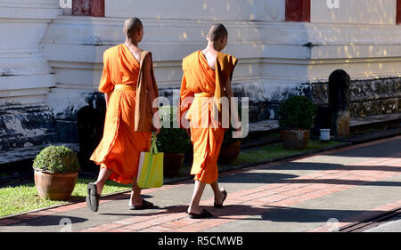 Jeunes moines au Wat Phra Singh temple à Chiang Mai, dans le nord de la Thaïlande Banque D'Images