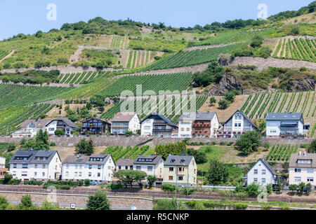 La vallée du Rhin, Lorchhausen, Allemagne. La classe moyenne typique des maisons. Banque D'Images