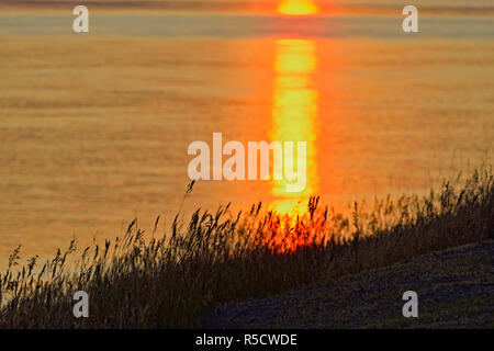 Coucher de soleil sur le fleuve MacKenzie, Fort Providence, Territoires du Nord-Ouest, Canada Banque D'Images