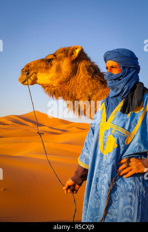 Chamelier, désert du Sahara, Merzouga, Maroc, (MR) Banque D'Images