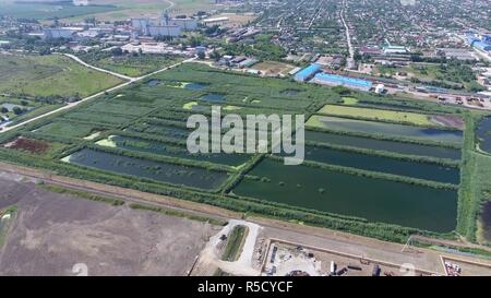 L'usine de traitement des eaux usées dans la région de Kiev-sur-Kuban. L'eau pour le traitement des eaux usées dans une petite ville. Roseaux lumineux sur les bords de l'eau. Banque D'Images