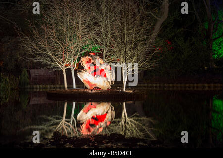 RHS Wisley, Surrey, UK. 30 novembre, 2018. Botaniquement spectaculaires illuminations par Jigantics d'inspiration sur l'interrupteur au RHS Wisley et ouvert au public de 4h à 20h, 1er décembre 2018 - Le mercredi 2 janvier 2019 pour la période des fêtes. Credit : Malcolm Park/Alamy Live News Banque D'Images