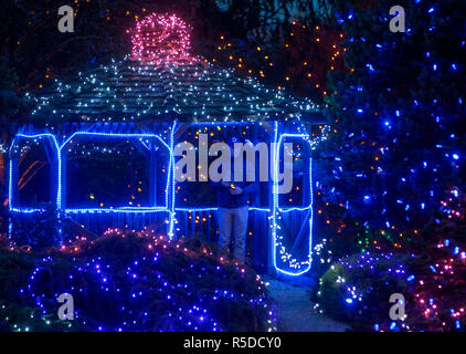 Vancouver, Canada. 30Th Nov, 2018. Un visiteur regarde la décoration lumineuse au Jardin botanique VanDusen à Vancouver, Canada, le 30 novembre 2018. Plus d'un million de lumières ont recouvert plus de 15 acres de la Vancouver VanDusen Botanical Garden comme la 'Fête des Lumières' renvoyé pour sa 34e année. Credit : Liang Sen/Xinhua/Alamy Live News Banque D'Images