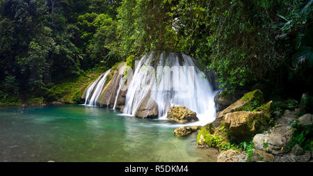 Reach Falls, paroisse de St. Thomas, Jamaïque, Caraïbes Banque D'Images