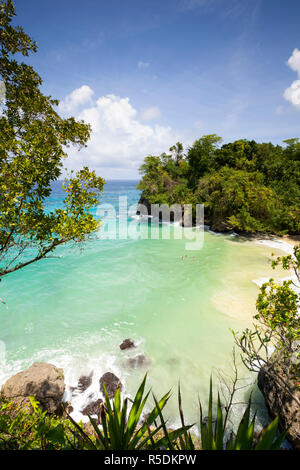 View sur Frenchman's Cove, Nr Port Antonio, Portland Parish, Jamaïque, Caraïbes Banque D'Images