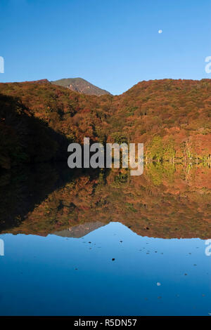 Le Japon, l'île d'Hokkaido, Tohoku, Aomori Towada lac, étang Tsutanuma Banque D'Images