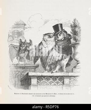 Madame la Duchesse chante un nocturne avec Monsieur le Duc, et dans ces moments la, elle n'entend pas qu'on la derange. Image anthropomorphique de chauves-souris et les hiboux. Peines de cÅ"ur d'une chatte anglaise.-Guide-aÌ'ne aÌ€ l'usage des animaux qui veulent parvenir aux honneurs.-Voyage d'un lion d'Afrique aÌ€ Paris.-Les Amours de deux beÌ'tes. Dans : Stahl (P. J.) pseud. SceÌ€nes de la vie priveÌe des animaux ... EÌtudes de mÅ"urs contemporaines publieÌes sous la direction de M. P. J. Stahl, avec la collaboration de Messieurs de Balzac, L. Baude, etc. 1842. 1842. Source : 1457.k.1 page 32 en face de la plaque. Banque D'Images