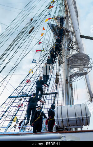 L'équipage de marins de monter le mât des cordes à bord Statsraad Lehmkuhl au Tall Ship races 2014 Bergen, Norvège Banque D'Images