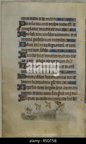 Bas-de-page scène de quatre perdrix voler au-dessus d'un champ de maïs. Psautier ('Le psautier de la Reine Mary"). Angleterre (Londres/Westminster ou East Anglia ?) ; entre 1310 et 1320. Source : Royal 2 B. VII, f.111v. Langue : Français de l'Amérique latine, avec les légendes des images. Banque D'Images