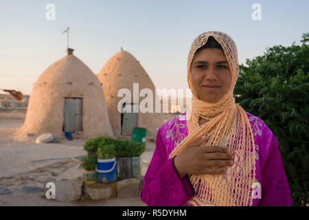 La Syrie, Hama environs, le Beehive Village de Sarouj, habitations faites de terre Banque D'Images