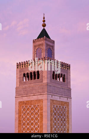 Tunisie, Tunis, Medina, mosquée Zaytouna-Great Banque D'Images