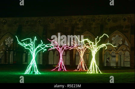 Cinq arbre comme des structures qui composent la pièce d'art "Lumen", s'asseoir dans le cloître garth, lors du lancement de la cathédrale de Salisbury est allumé avènement d'installations artistiques, le droit de l'obscurité à la lumière. Banque D'Images