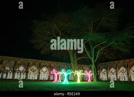 Cinq arbre comme des structures qui composent la pièce d'art "Lumen", s'asseoir dans le cloître garth, lors du lancement de la cathédrale de Salisbury est allumé avènement d'installations artistiques, le droit de l'obscurité à la lumière. Banque D'Images