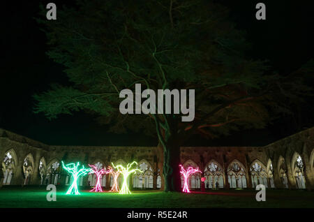 Cinq arbre comme des structures qui composent la pièce d'art "Lumen", s'asseoir dans le cloître garth, lors du lancement de la cathédrale de Salisbury est allumé avènement d'installations artistiques, le droit de l'obscurité à la lumière. Banque D'Images