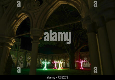 Cinq arbre comme des structures qui composent la pièce d'art "Lumen", s'asseoir dans le cloître garth, lors du lancement de la cathédrale de Salisbury est allumé avènement d'installations artistiques, le droit de l'obscurité à la lumière. Banque D'Images