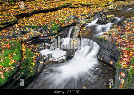 Les éclaboussures d'eau vive au moyen de barres rocheuses parsemées de feuilles mortes colorées à Watkins Glen State Park, New York. Banque D'Images