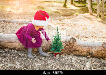 Cute Hispanic Young Baby Girl Having Fun with Santa Hat et l'arbre de Noël en plein air sur le journal. Banque D'Images