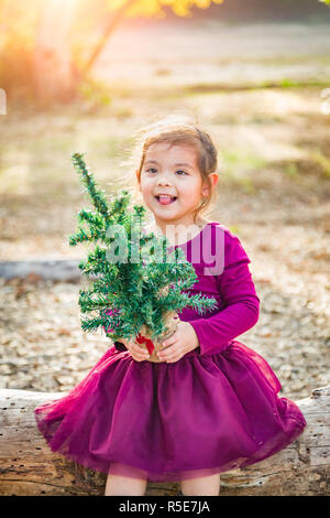 Cute Hispanic Young Baby Girl s'amusant avec l'extérieur de l'arbre de Noël sur le journal. Banque D'Images