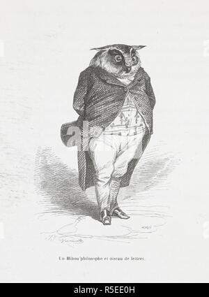 Un hibou philosophe et oiseau de lettres. Image anthropomorphique d'un hibou. Peines de cÅ"ur d'une chatte anglaise.-Guide-aÌ'ne aÌ€ l'usage des animaux qui veulent parvenir aux honneurs.-Voyage d'un lion d'Afrique aÌ€ Paris.-Les Amours de deux beÌ'tes. Dans : Stahl (P. J.) pseud. SceÌ€nes de la vie priveÌe des animaux ... EÌtudes de mÅ"urs contemporaines publieÌes sous la direction de M. P. J. Stahl, avec la collaboration de Messieurs de Balzac, L. Baude, etc. 1842. 1842. Source : 1457.k.1. En face de la plaque à la page 114. Auteur : Balzac, HonorÃ© de. GRANDVILLE. Banque D'Images