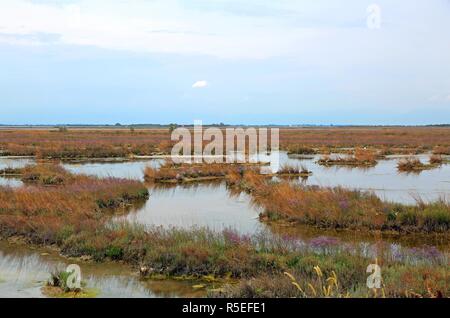 Lagune de Venise près de Venise en Italie du Nord. Cette zone est appelée Mesole Banque D'Images