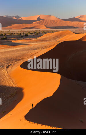 Man climbing sand dunes, Parc National Namib Naukluft, Namibie Banque D'Images