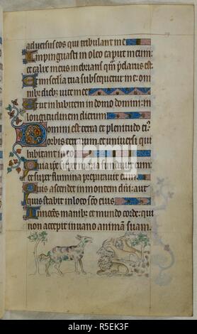 Bas-de-page lieux d'une panthère multi-couleurs, avec un lion, un chevreuil et d'autres animaux l'inhalation de l'odeur de sa bouche. Psautier ('Le psautier de la Reine Mary"). Angleterre (Londres/Westminster ou East Anglia ?) ; entre 1310 et 1320. Source : Royal 2 B. VII, f.109. Langue : Français de l'Amérique latine, avec les légendes des images. Banque D'Images