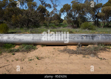 Une section de tuyau de l'approvisionnement en eau Goldfields. Le tuyau s'exécute principalement au-dessus du sol et des fournitures Kalgoorlie avec de l'eau. Banque D'Images