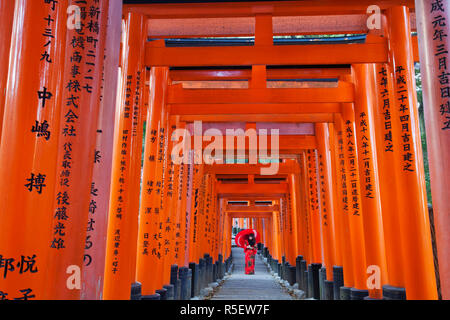 Le Japon, Kyoto, Fushimi Inari Taisha, Tunnel de Torii Gates Banque D'Images