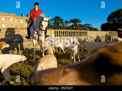 Quorn Hunt, Leicestershire, Angleterre Banque D'Images