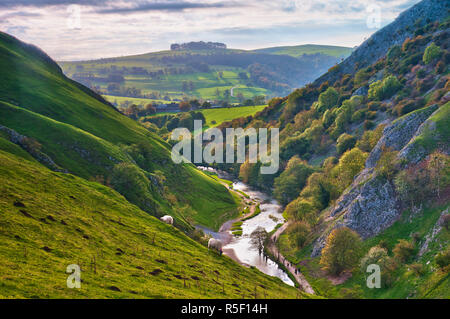 Royaume-uni, Angleterre, Derbyshire, parc national de Peak District, Dovedale Banque D'Images