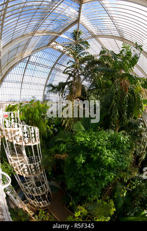 UK, Londres, Richmond, Royal Botanic Gardens Kew Banque D'Images