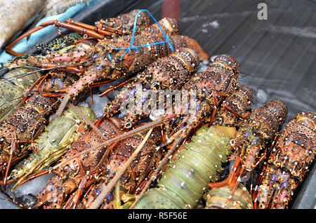 Homards frais vendus au marché de nuit à Kota Kinabalu Banque D'Images