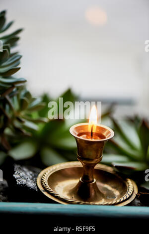 La bougie brûle dans un petit chandelier en laiton , parmi le vert des plantes succulentes. Macro. Sentiment de chaleur et de confort.La prière, gratitude Banque D'Images