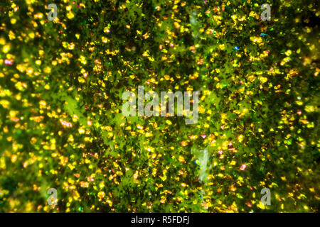 Tissu imprimé abstrait jaune vert sur la texture de l'argent Projet de loi israélien de 50 sicle sous le microscope Banque D'Images