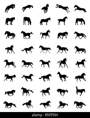 Chevaux de silhouettes noires sur fond blanc Banque D'Images