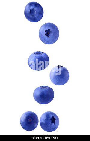 Relevant les bleuets on white Banque D'Images