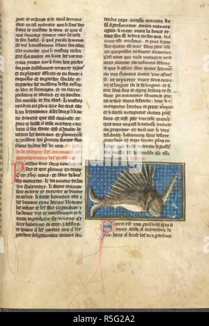 Une miniature de l'espadon, dans le bestiaire partie de Brunetto Latini's Le Livre du trà©ros. Li Livres dou Tresor. France, N. (Picardie) ; c. 1315-1325. Source : Yates Thompson 19, f.48. Langue : Français. Banque D'Images