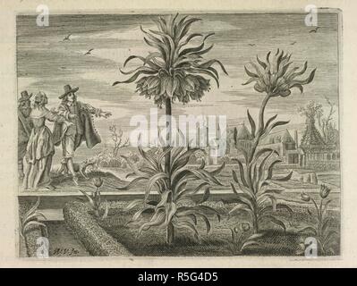 Les grandes plantes. Alle de wercken, donc ouden als nieuwe, van de Heer. I. I. Schipper : Amsterdam, 1655. Un groupe de personnes d'étudier certaines grandes usines. Image réalisée à partir d'Alle de wercken, donc ouden als nieuwe, van de Heer Iacob Cats. [Avec gravures.].. Publié à l'origine/produit dans I. I. Schipper : Amsterdam, 1655. . Source : 11565.k.4, 28. Banque D'Images