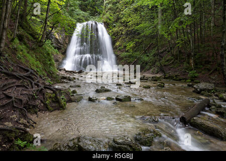 Risseckstrasse 8 chute d'eau dans la région de spitzingsee bavaria, Banque D'Images
