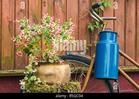 Pot en métal, fleurs et Rusty vintage bicyclette comme décoration dans maison de pays, mur en bois Banque D'Images