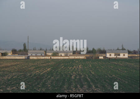 La vie rurale près de Samarkand (Ouzbékistan). Banque D'Images