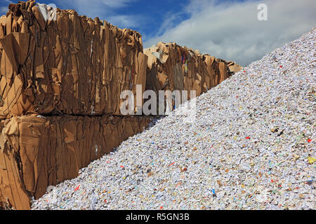 Vieux papiers, vieux papier déchiqueté dans une usine de recyclage, l'Allemagne, le papier se défasse, également de papier déchiqueté, Allemagne Banque D'Images