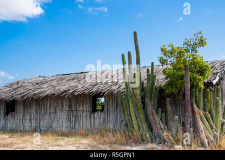 Maisons en bois traditionnelles à guadua La Guajira Colombie Banque D'Images