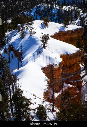 Bryce Canyon en hiver Banque D'Images