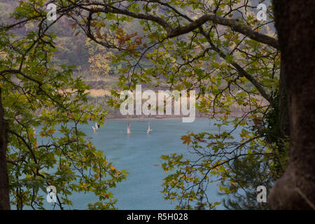 Tiré du lac Tsivlos en Grèce pendant un jour de pluie. Banque D'Images